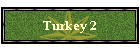 Turkey 2