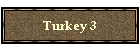 Turkey 3